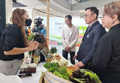 Amazing Taste Great หนุนเที่ยววิถีอินทรีย์ ด้วย Soft Power