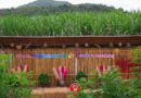 เที่ยวได้ทั้งปี วิถีลุ่มภู – อำเภอนาวัง จ.หนองบัวลำภู