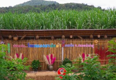 เที่ยวได้ทั้งปี วิถีลุ่มภู – อำเภอนาวัง จ.หนองบัวลำภู