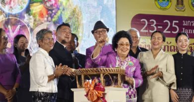 พังงา-วัฒนธรรมร่วมภาคีเครือข่ายจัดงานมหกรรมอาหารพื้นบ้าน สืบสานศิลป์ วิถีถิ่น