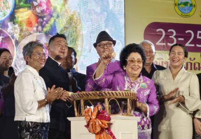 พังงา-วัฒนธรรมร่วมภาคีเครือข่ายจัดงานมหกรรมอาหารพื้นบ้าน สืบสานศิลป์ วิถีถิ่น